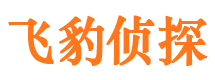 吉林市市私家侦探